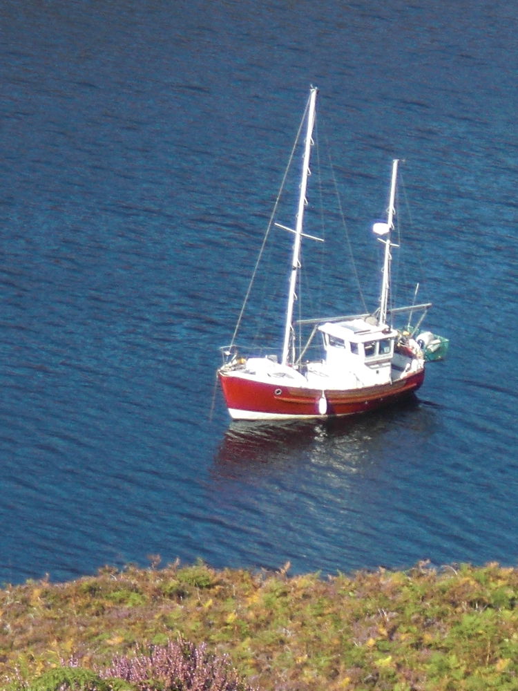Raureif vor blauem Himmel